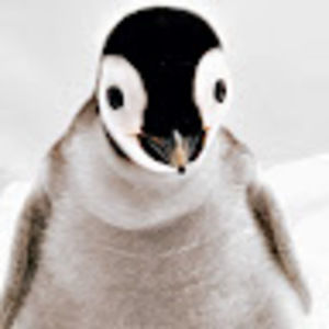 Meet your Posher, Colleen